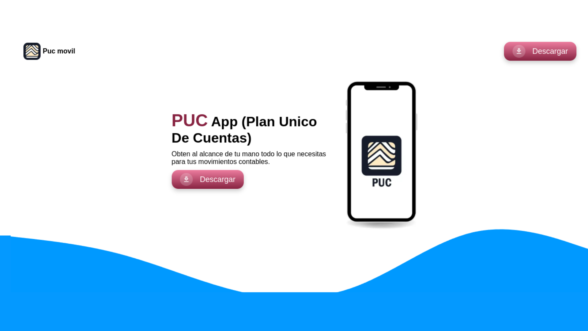 App Puc (Plan unico de cuentas)
