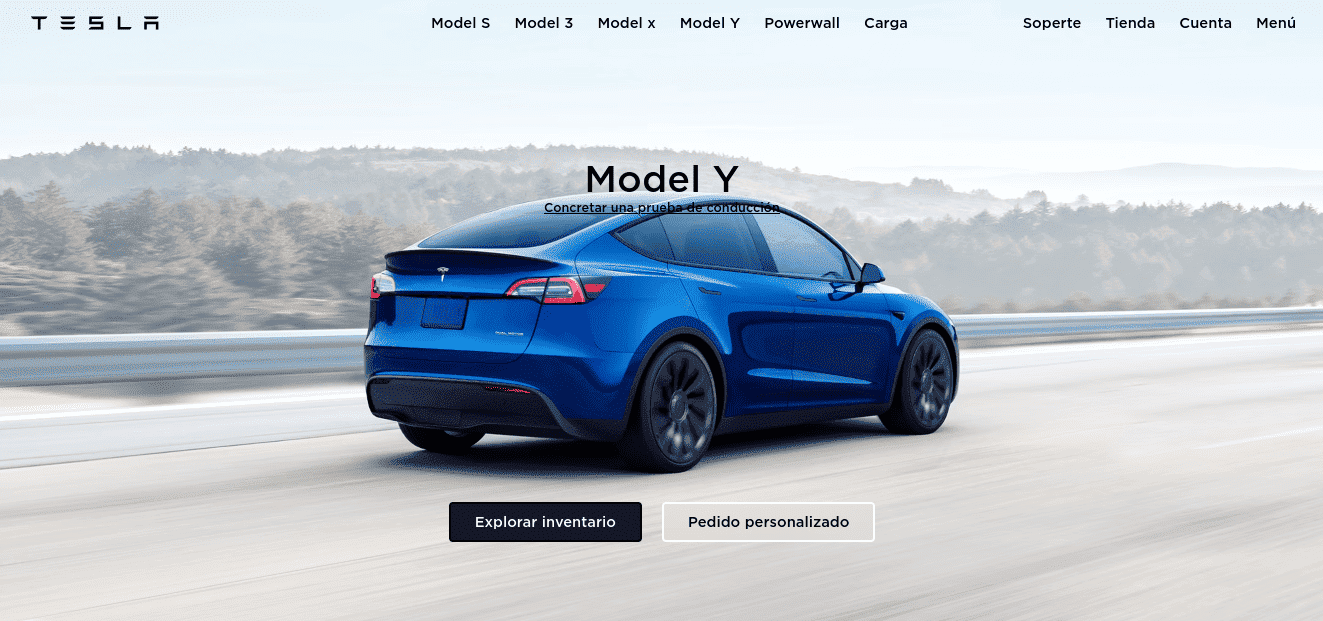 Landin page de Tesla
